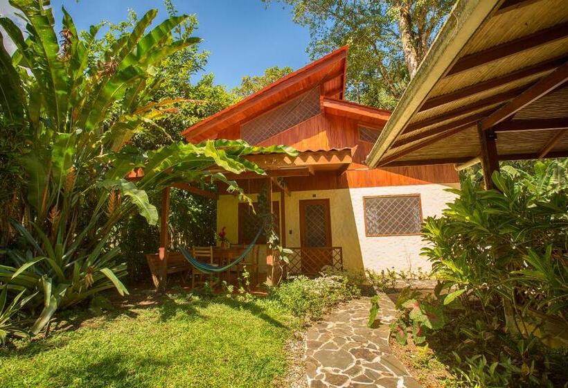 آپارتمان 2 خوابه با تراس, Casa Merlin