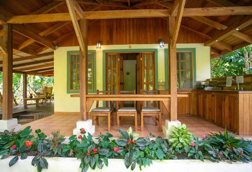 بنگله خانوادگی, Casa Merlin