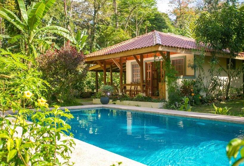 بنگله خانوادگی, Casa Merlin