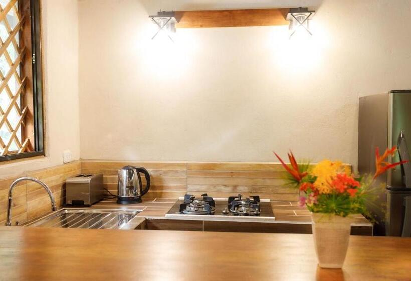 آپارتمان 1 خوابه, Casa Merlin