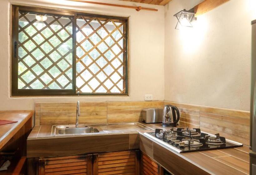 آپارتمان 1 خوابه, Casa Merlin