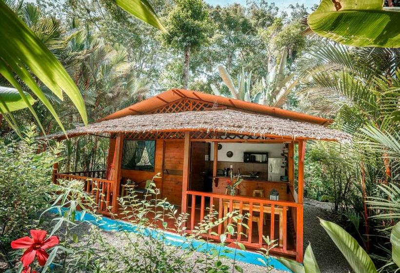 بانگلوی سوپریور, Casitas Las Flores