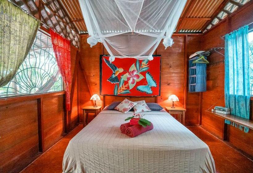 بانگلوی سوپریور, Casitas Las Flores