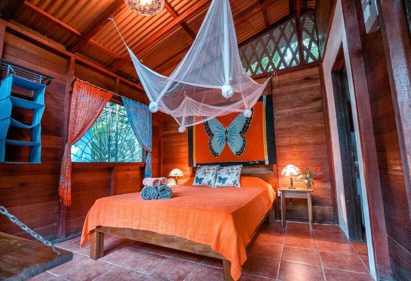 بانگلوی استاندارد, Casitas Las Flores