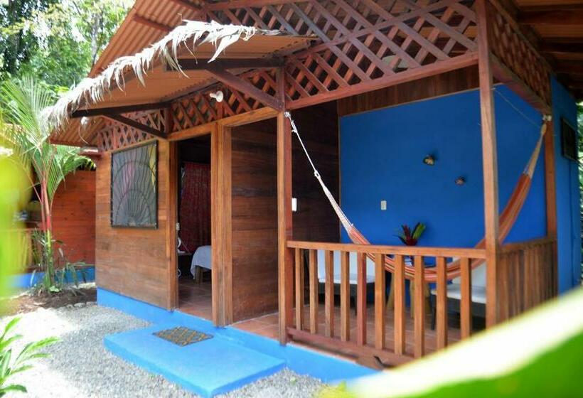 بانگلوی استاندارد, Casitas Las Flores