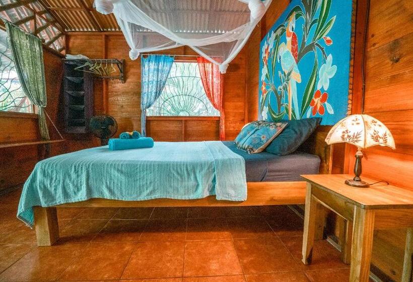 بانگلوی سوپریور, Casitas Las Flores