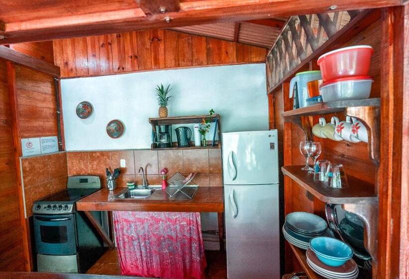 بانگلوی سوپریور, Casitas Las Flores