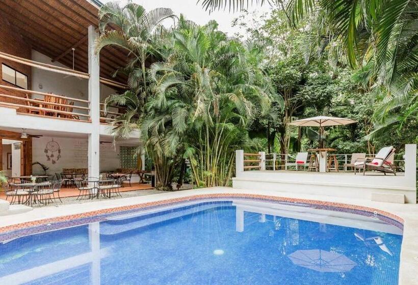 اتاق راحتی, Dreamcatcher Hotel   Atrapasueños