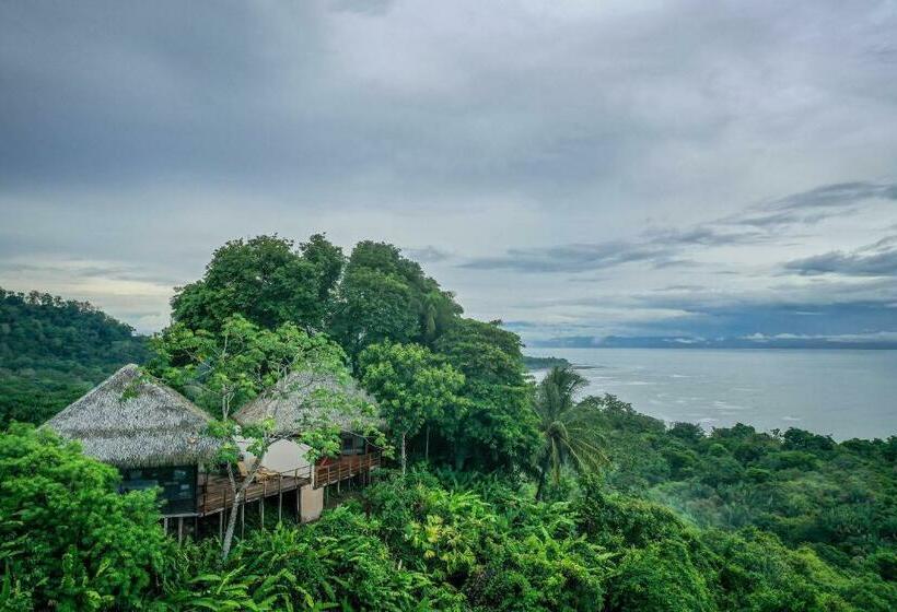 بانگلوی لوکس, Lapa Rios Lodge By Boena