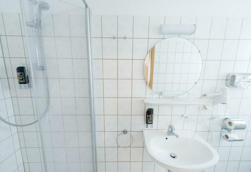 اتاق استاندارد یک نفره, Rhönhof