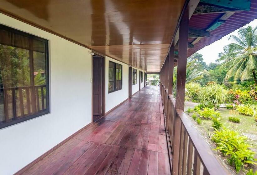 اتاق یک تخته با چشم‌انداز باغ, Tortuguero Beachfront
