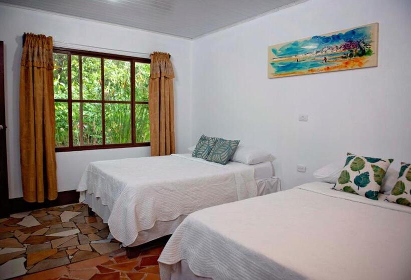 اتاق استاندارد چهارنفره با چشم‌انداز باغ, Tortuguero Beachfront