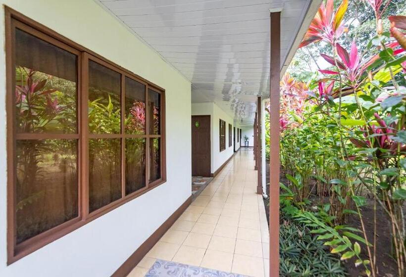 اتاق استاندارد چهارنفره با چشم‌انداز باغ, Tortuguero Beachfront