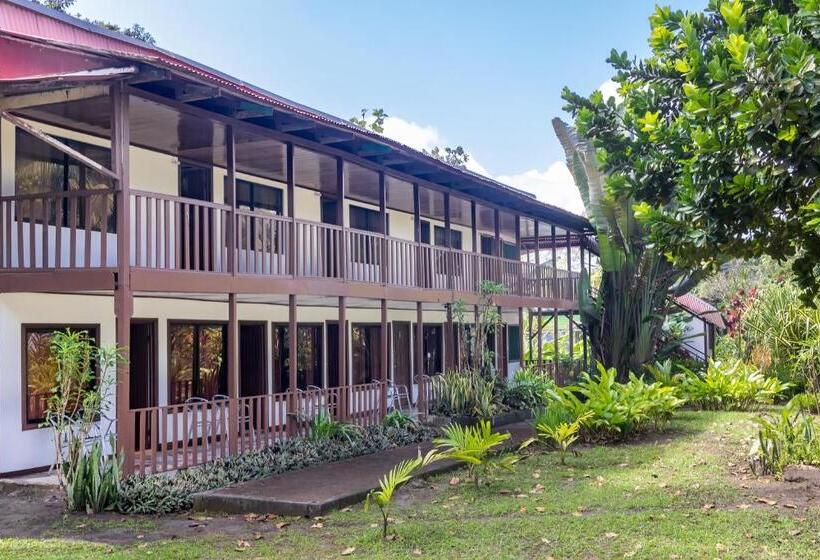 اتاق استاندارد چهارنفره با چشم‌انداز باغ, Tortuguero Beachfront