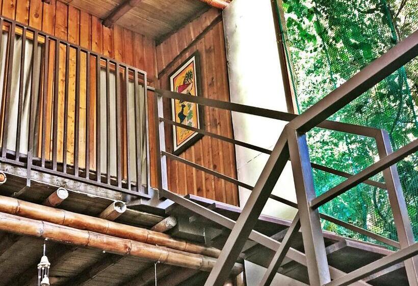 اتاق خانوادگی, Pacande B&b