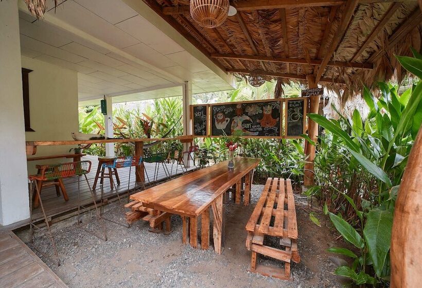 اتاق دلوکس مخصوص معلولین, Playa 506 Beachfront Hostel