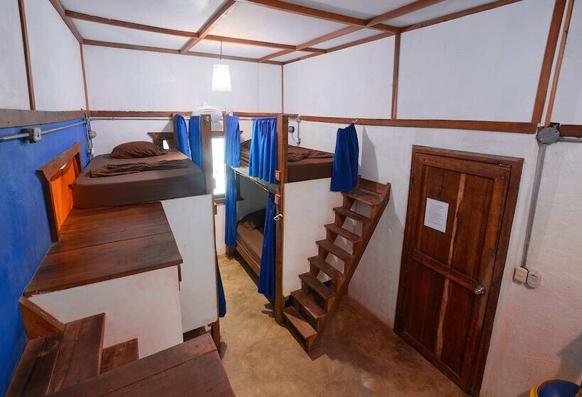 Bed in Shared Room with Shared Bathroom, Playa 506 Beachfront Hostel