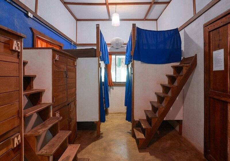 Bed in Shared Room with Shared Bathroom, Playa 506 Beachfront Hostel