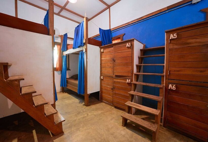 Bed in Shared Room with Shared Bathroom, Playa 506 Beachfront Hostel