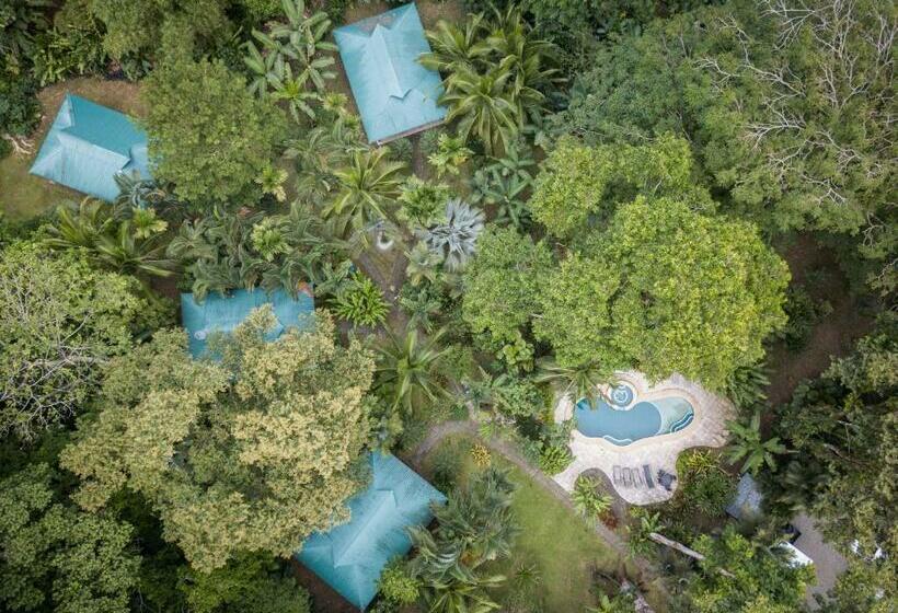 بانگلوی استاندارد, El Nido Jungle Lodge