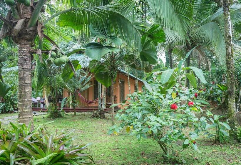 بانگلوی استاندارد, El Nido Jungle Lodge