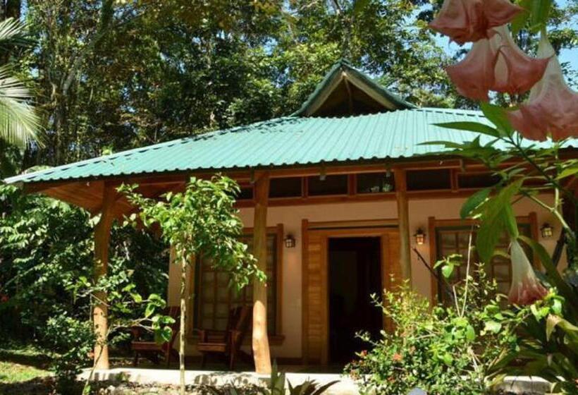 ویلای استاندارد با چشم‌انداز باغ, El Nido Jungle Lodge