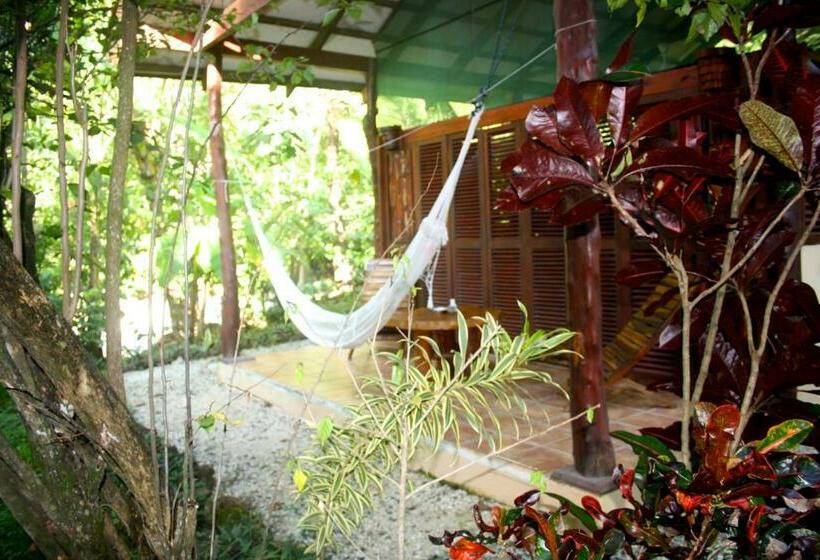 بانگلوی استاندارد, Funky Monkey Lodge