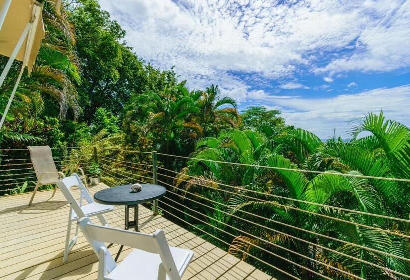 اتاق استاندارد با چشم‌انداز دریا, Funky Monkey Lodge