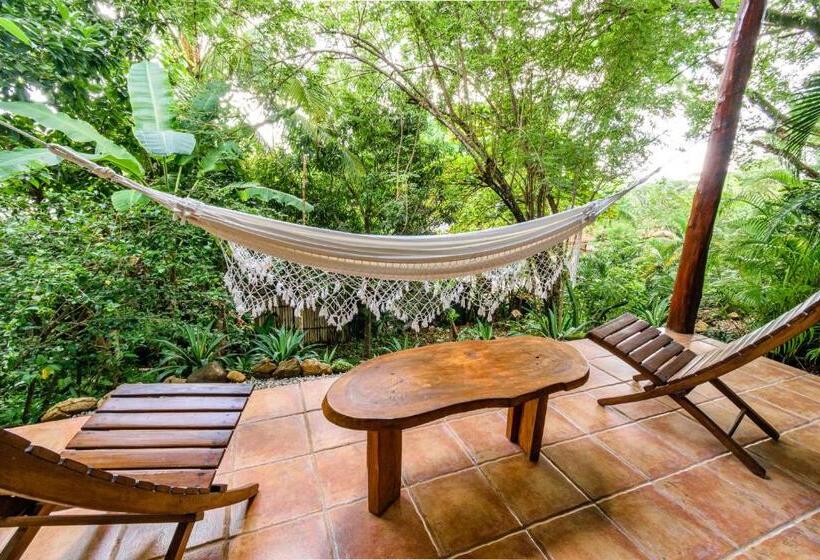 ویلای استاندارد با چشم‌انداز باغ, Funky Monkey Lodge