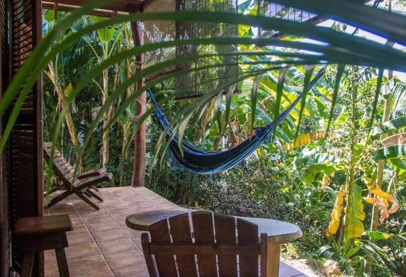 ویلای استاندارد با چشم‌انداز باغ, Funky Monkey Lodge