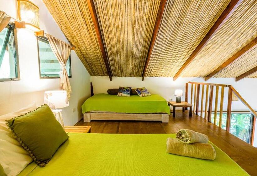ویلای استاندارد با چشم‌انداز باغ, Funky Monkey Lodge