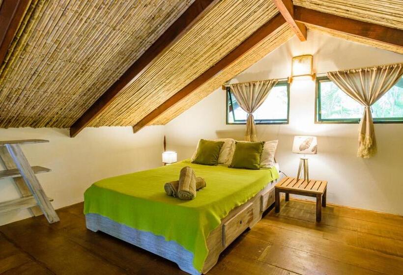 ویلای استاندارد با چشم‌انداز باغ, Funky Monkey Lodge