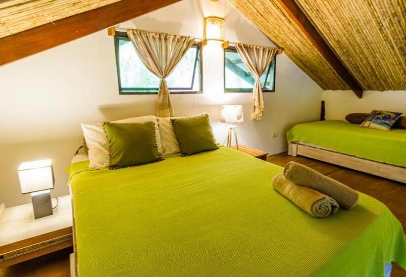 ویلای استاندارد با چشم‌انداز باغ, Funky Monkey Lodge