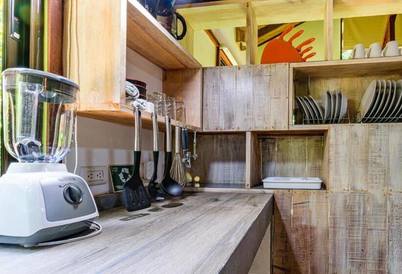 ویلای استاندارد با چشم‌انداز باغ, Funky Monkey Lodge