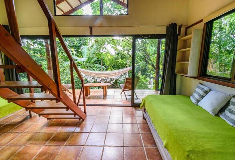 ویلای استاندارد با چشم‌انداز باغ, Funky Monkey Lodge