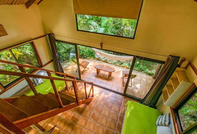 ویلای استاندارد با چشم‌انداز باغ, Funky Monkey Lodge