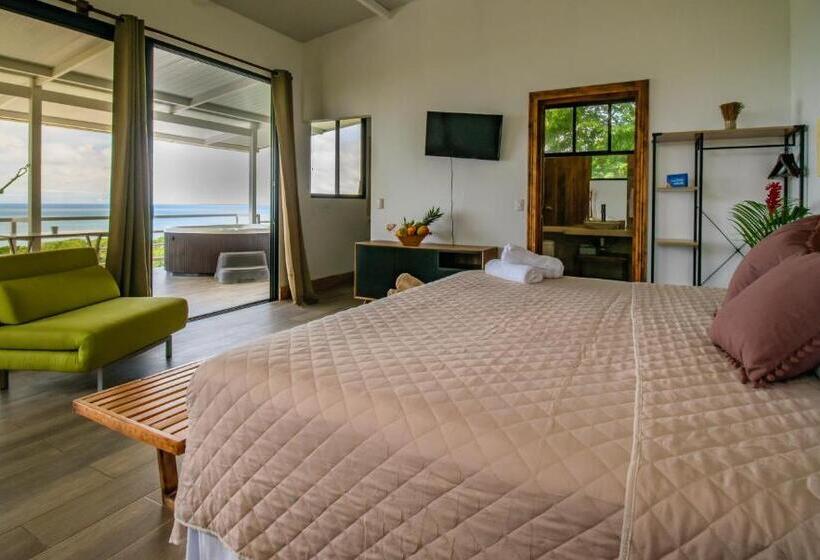 آپارتمان 1 خوابه با چشم‌انداز دریا, Funky Monkey Lodge
