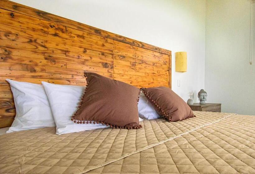 آپارتمان 1 خوابه با چشم‌انداز دریا, Funky Monkey Lodge
