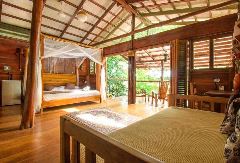 سوئیت با بالکن, Funky Monkey Lodge
