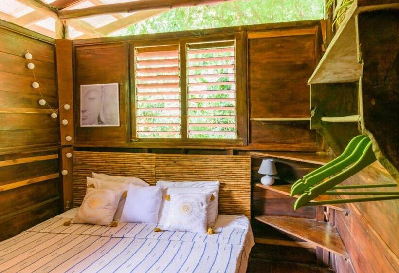 اتاق اکونومی, Funky Monkey Lodge