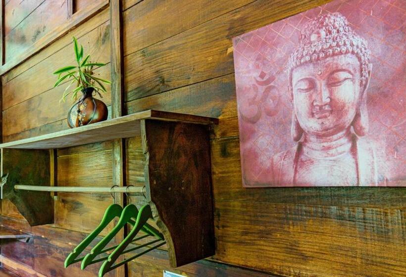 اتاق اکونومی, Funky Monkey Lodge