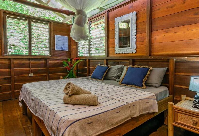 اتاق اکونومی, Funky Monkey Lodge