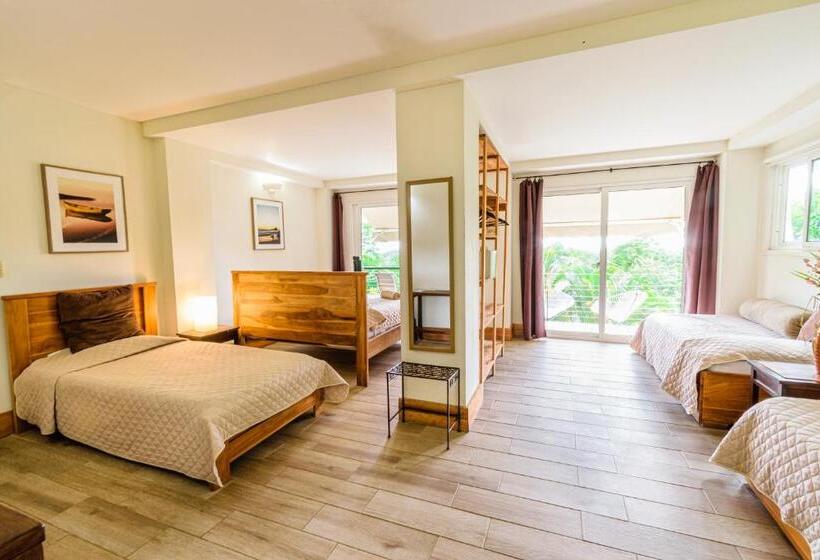 اتاق خانوادگی با چشم‌انداز دریا, Funky Monkey Lodge