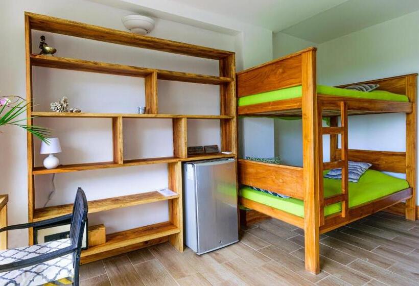 اتاق استاندارد با چشم‌انداز دریا, Funky Monkey Lodge