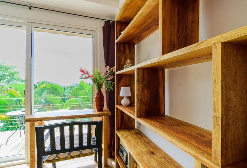 اتاق استاندارد با چشم‌انداز دریا, Funky Monkey Lodge