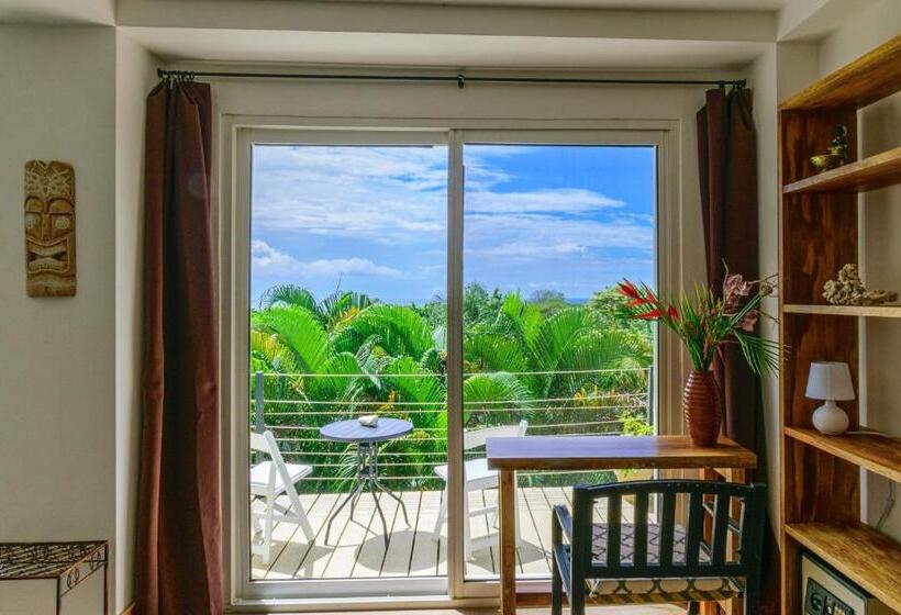 اتاق استاندارد با چشم‌انداز دریا, Funky Monkey Lodge