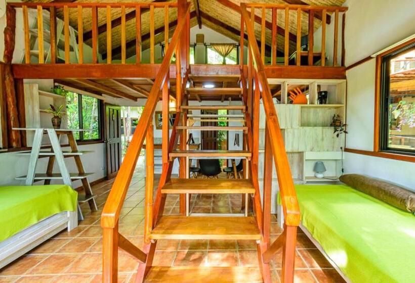 ویلای استاندارد با چشم‌انداز باغ, Funky Monkey Lodge