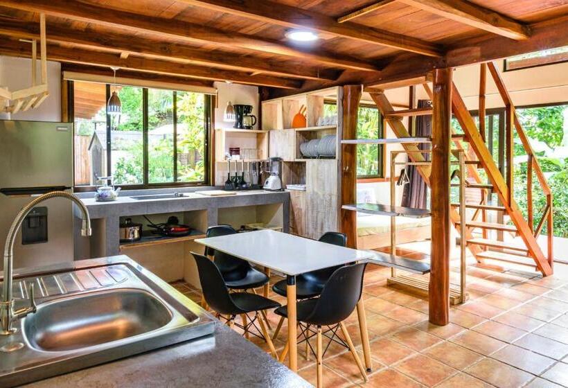 ویلای استاندارد با چشم‌انداز باغ, Funky Monkey Lodge