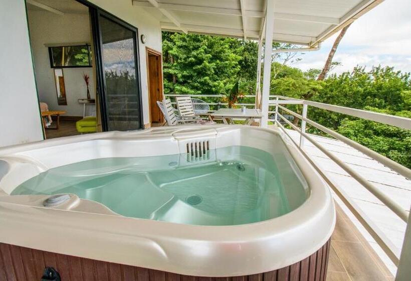 آپارتمان 1 خوابه با چشم‌انداز دریا, Funky Monkey Lodge