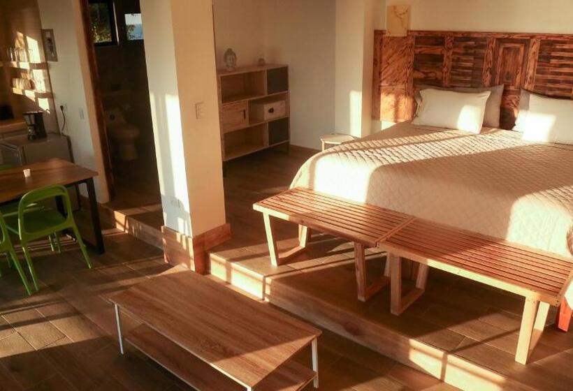 آپارتمان 1 خوابه با چشم‌انداز دریا, Funky Monkey Lodge
